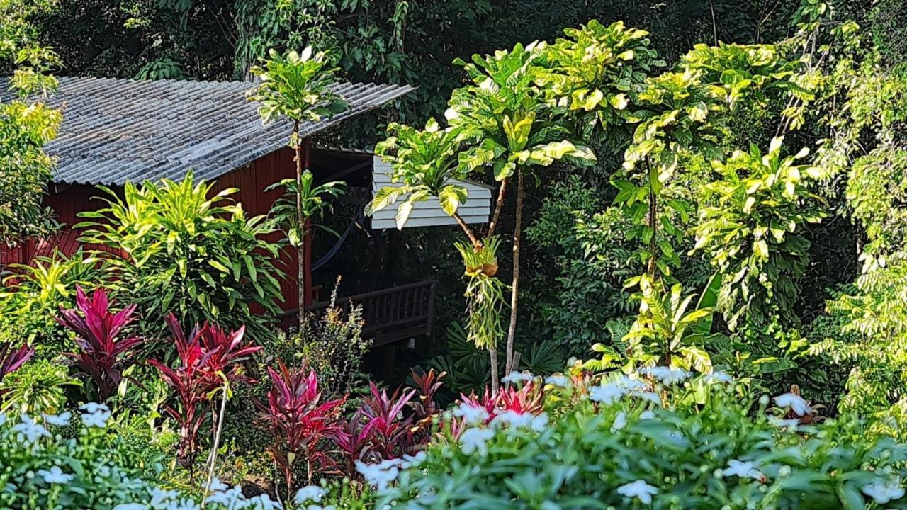 فندق Wooden Hut Koh Kood Ko Kut المظهر الخارجي الصورة