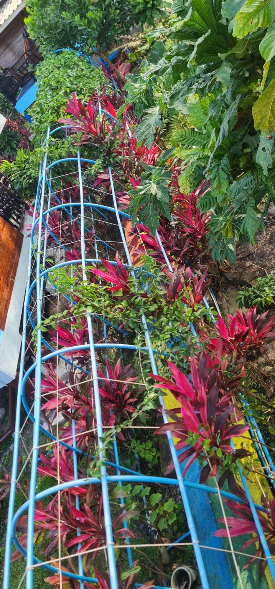 فندق Wooden Hut Koh Kood Ko Kut المظهر الخارجي الصورة