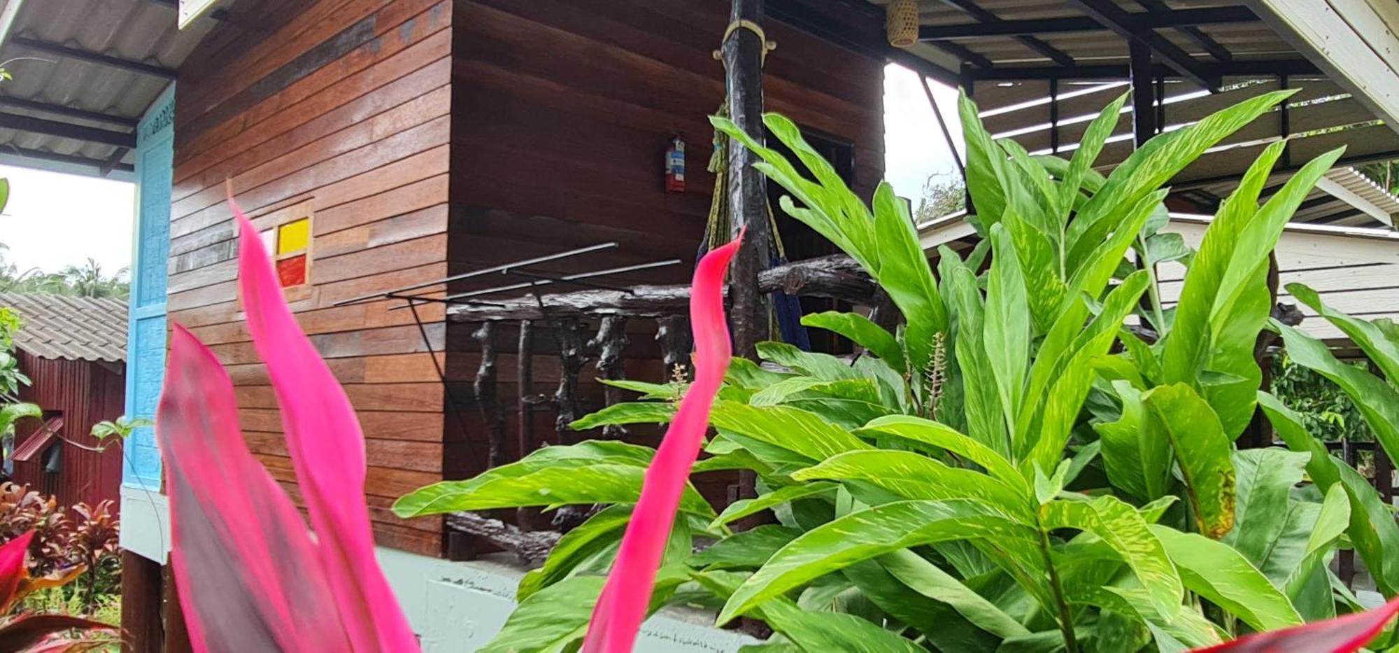 فندق Wooden Hut Koh Kood Ko Kut المظهر الخارجي الصورة